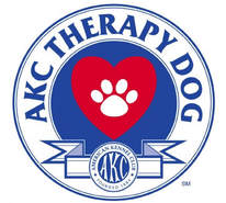 AKC Therapy Dog Kigi